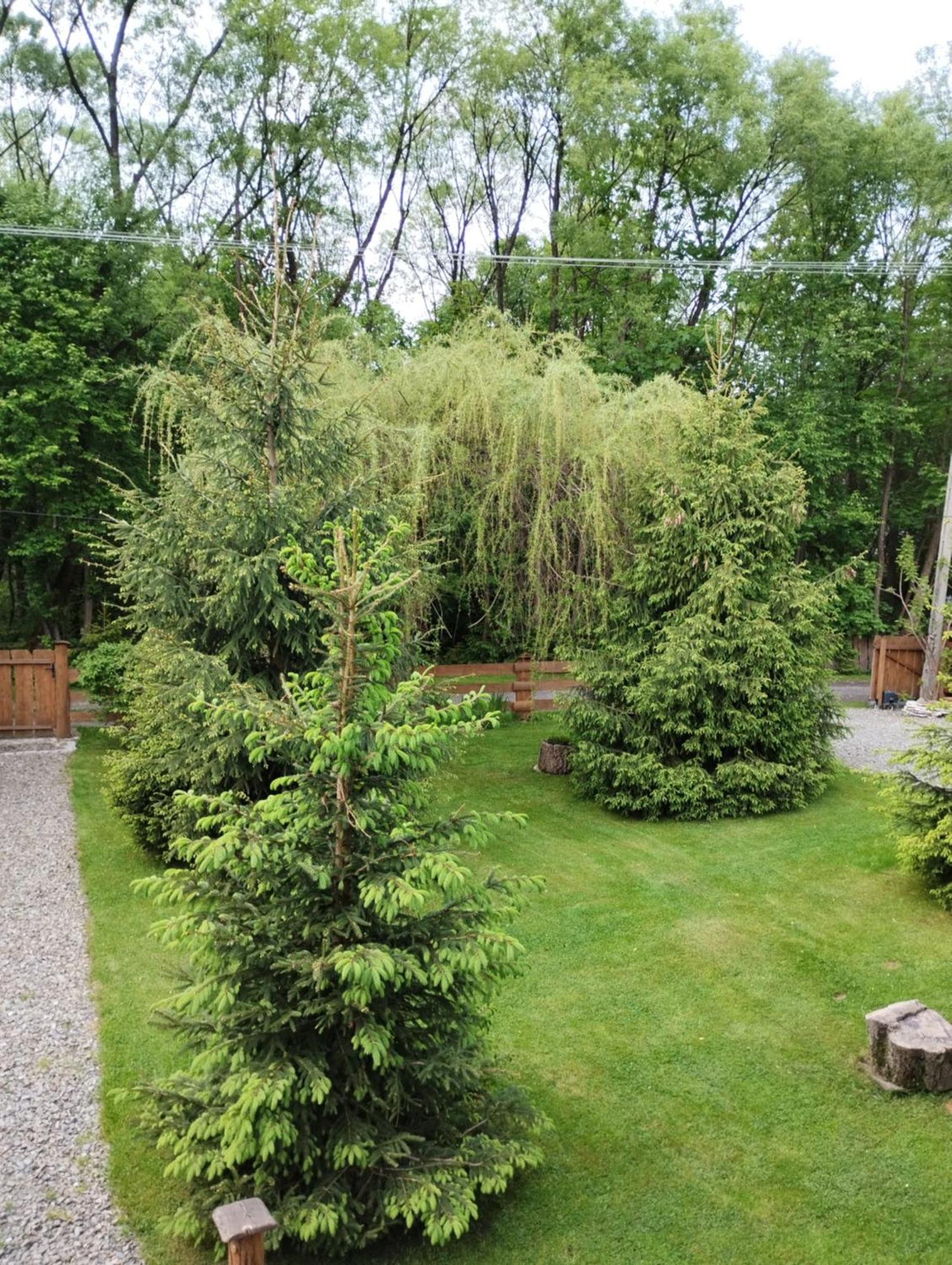 Apartament Nad Potokiem Wisła Exterior foto
